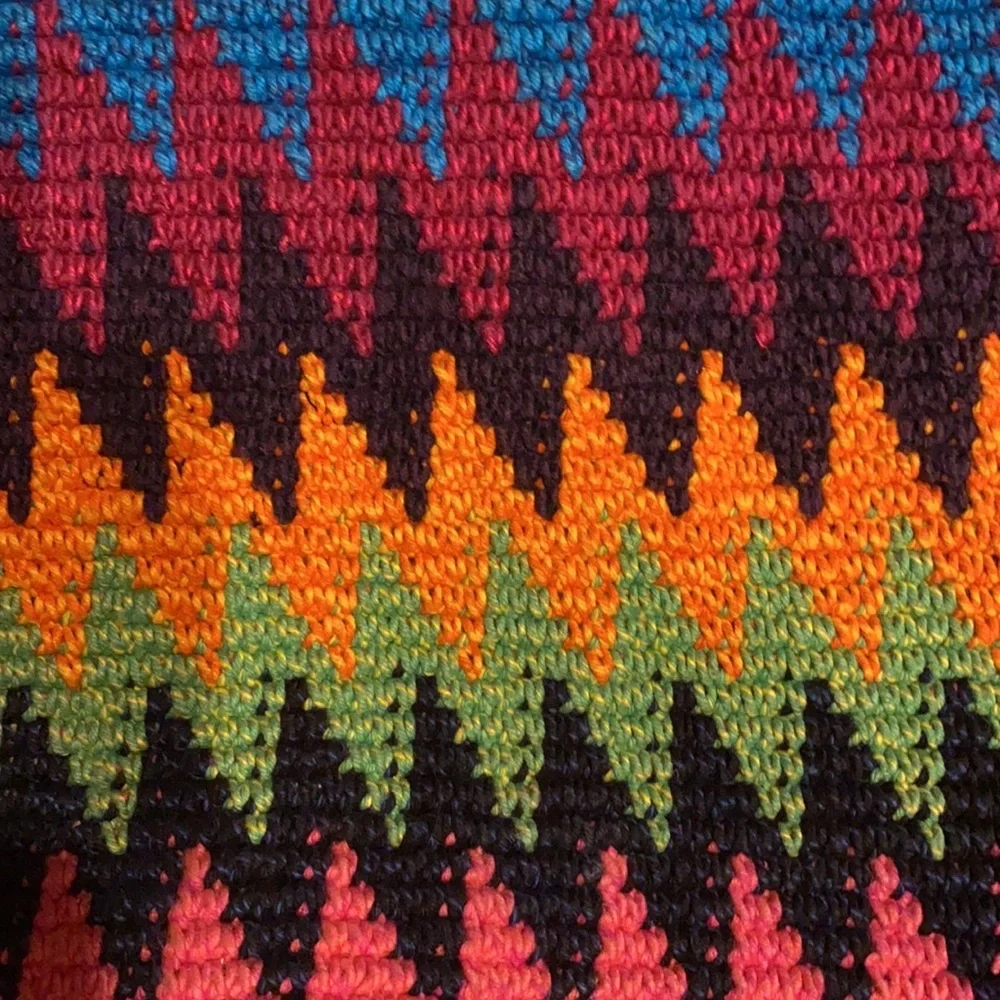Hand Crochet Muli-colored Woven Hobo Bag